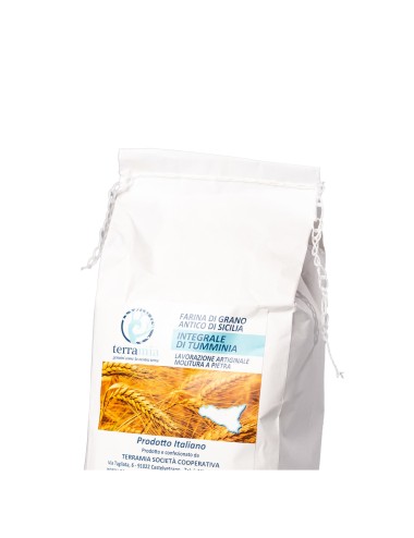 Farina di tumminia(timilia) al 100% kg. 1,00