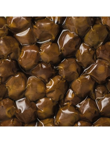🥇 Olive Nere al Forno Medaglia d'Oro Terramia | Nocellara del Belìce Condite con solo Olio, buste da  (250g - 500g - 1kg)